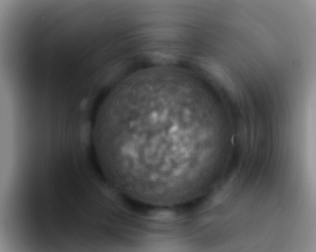 X0000092110649200709262200