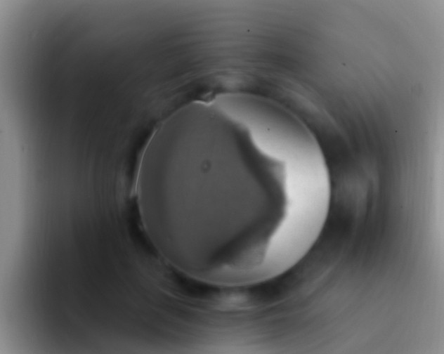 X0000092110651200709262200