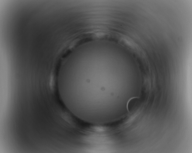 X0000092110654200709262200