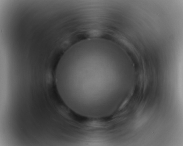 X0000092110655200709262200