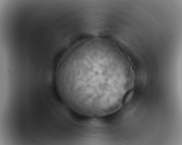 X0000092110656200709262200