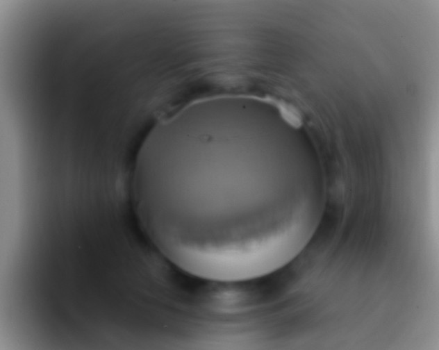 X0000092110658200709262200