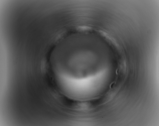 X0000092110659200709262200