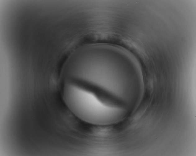 X0000092110661200709262200