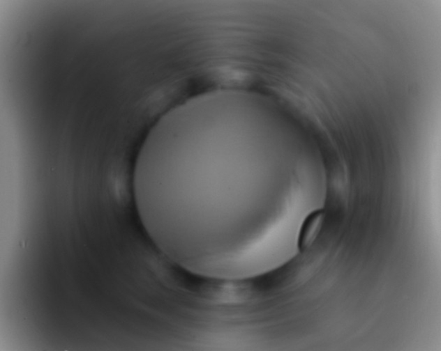 X0000092110663200709262200