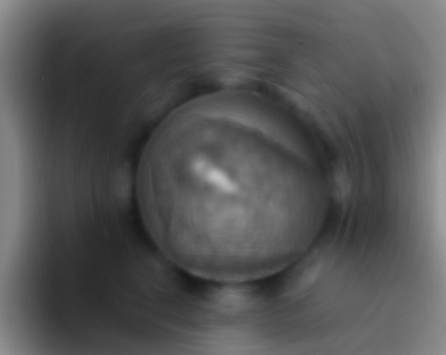 X0000092110664200709262200