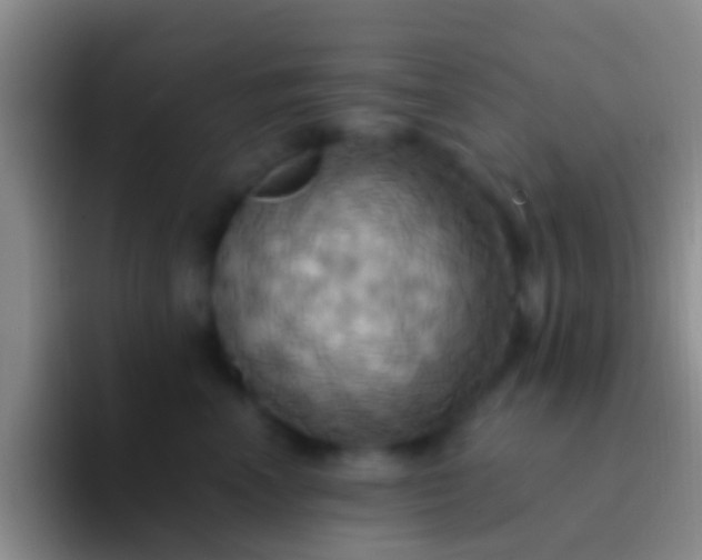 X0000092110666200709262200