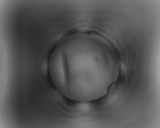 X0000092110668200709262200