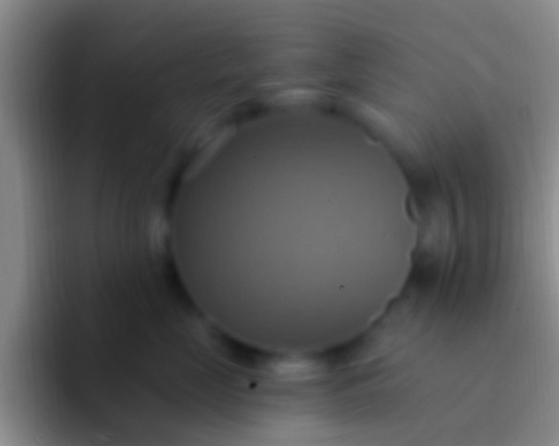 X0000092110669200709262200