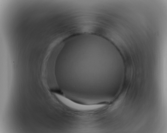 X0000092110673200709262159