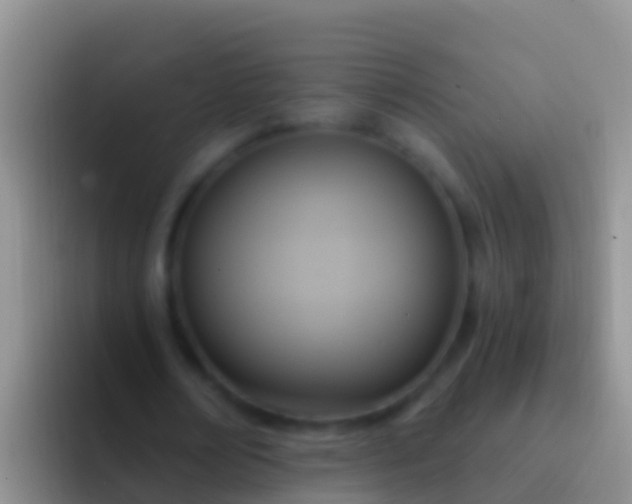 X0000092110674200709262159