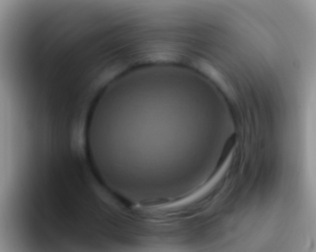 X0000092110677200709262159