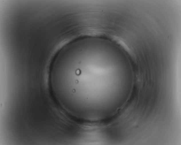 X0000092110679200709262159