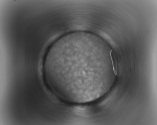 X0000092110680200709262159