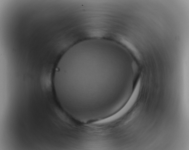 X0000092110681200709262159