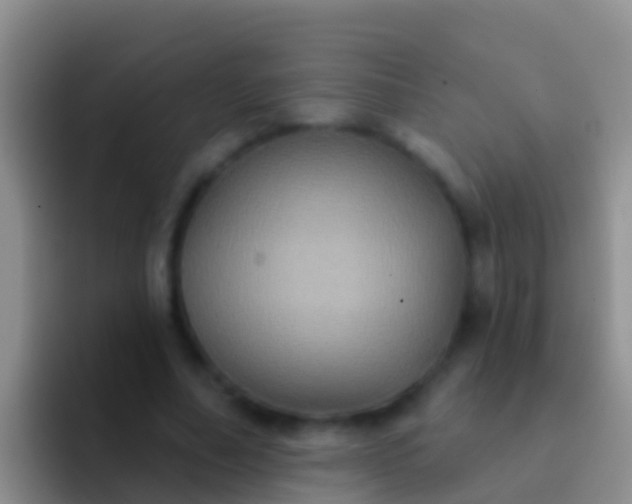 X0000092110682200709262159