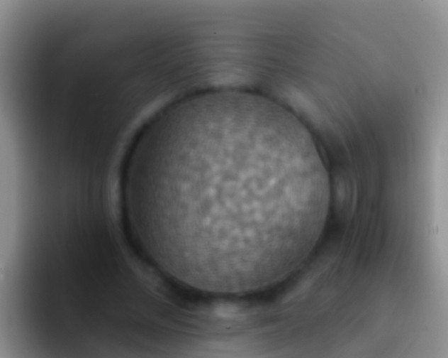 X0000092110684200709262159