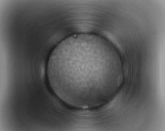 X0000092110685200709262159