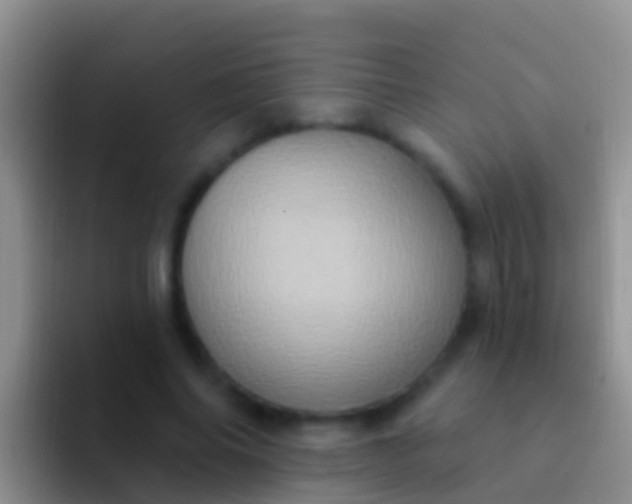 X0000092110686200709262159