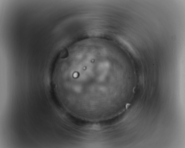 X0000092110687200709262159