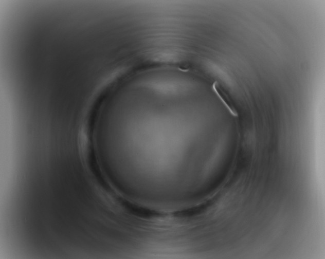 X0000092110688200709262159