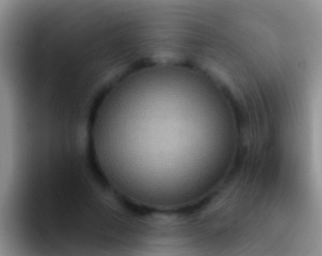 X0000092110690200709262159