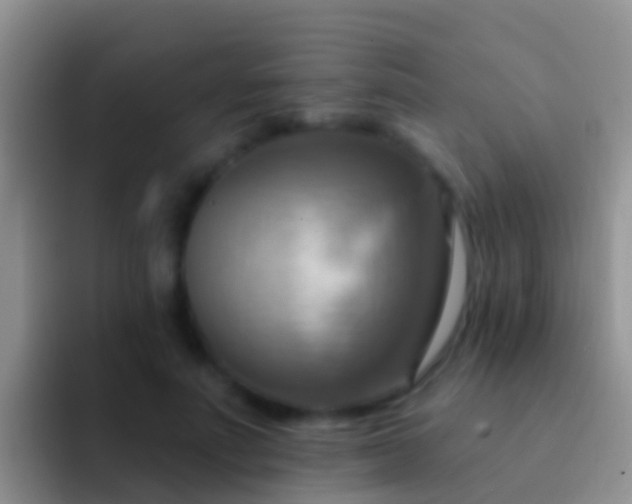 X0000092110691200709262159