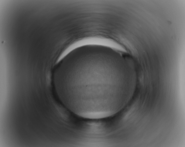 X0000092110693200709262159