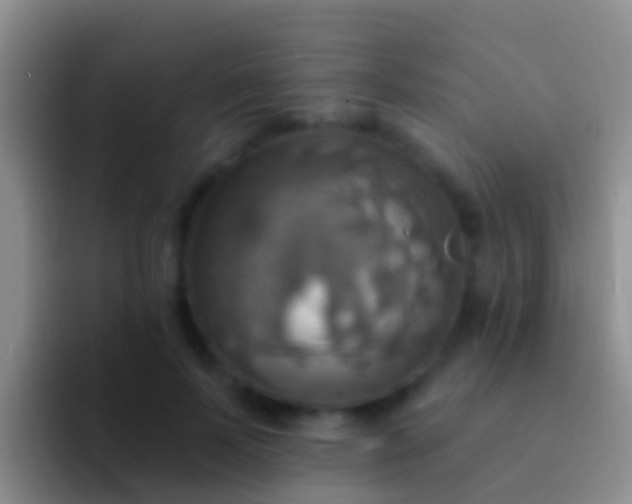 X0000092110695200709262159