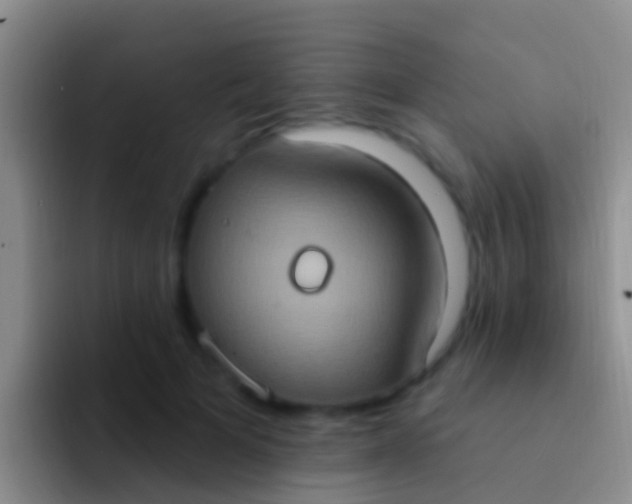 X0000092110697200709262159