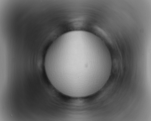 X0000092110698200709262159