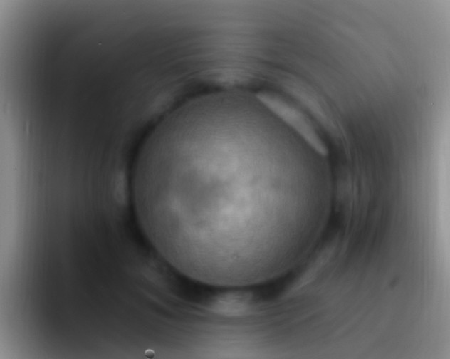 X0000092110700200709262159