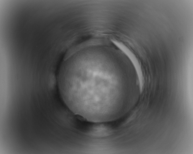 X0000092110704200709262159