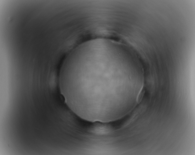 X0000092110708200709262159