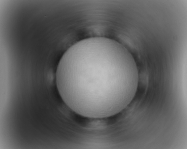 X0000092110709200709262159