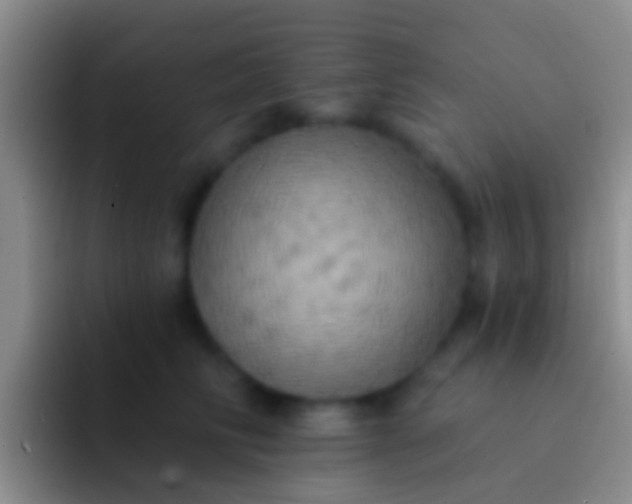 X0000092110710200709262159