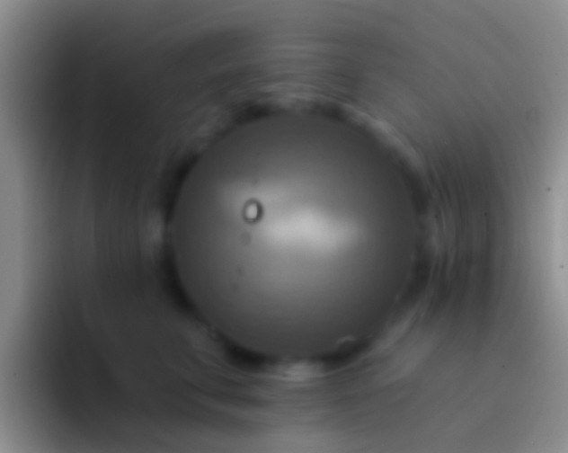 X0000092110711200709262159