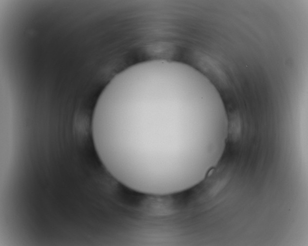 X0000092110713200709262159