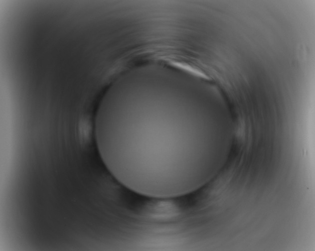 X0000092110715200709262159