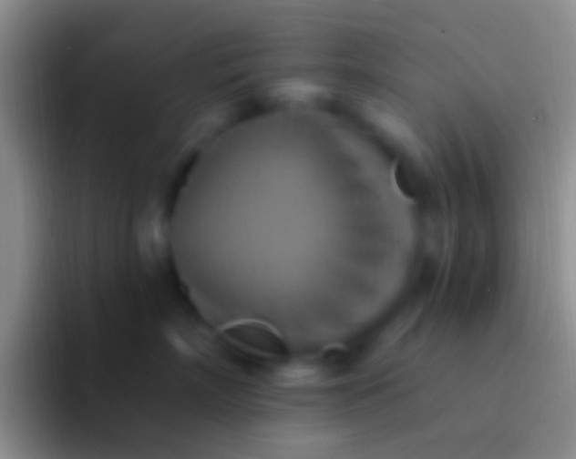 X0000092110718200709262159