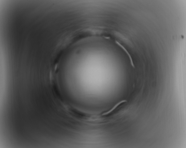 X0000092110720200709262159