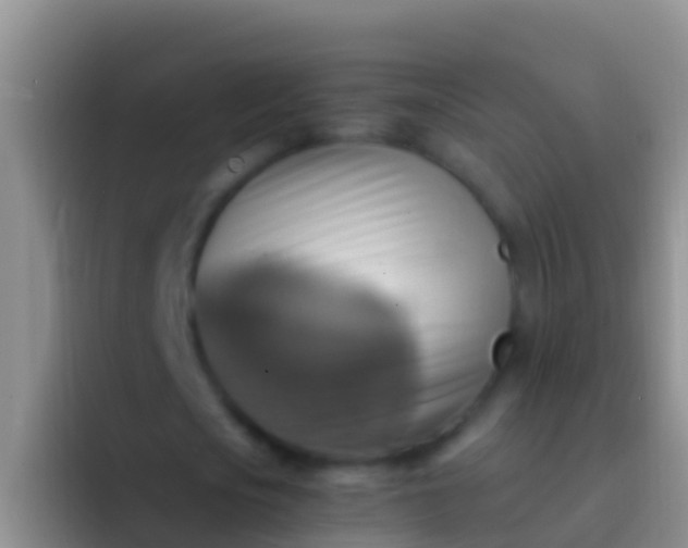 X0000092110721200709262158