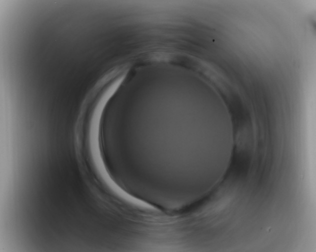 X0000092110722200709262158