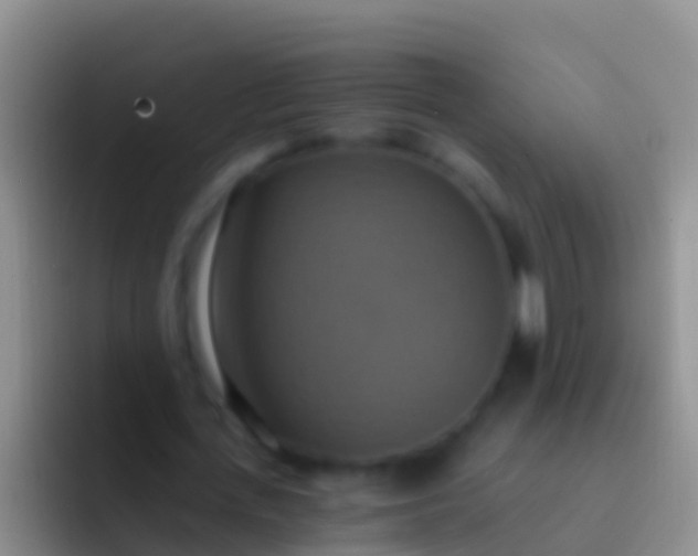 X0000092110723200709262158