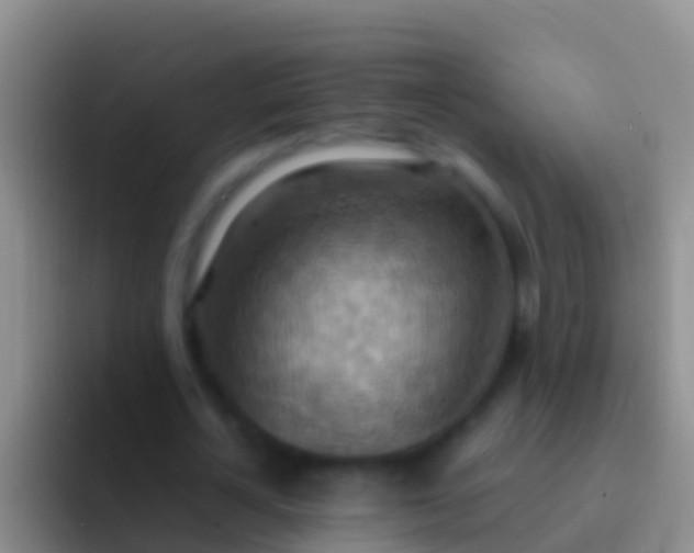 X0000092110724200709262158