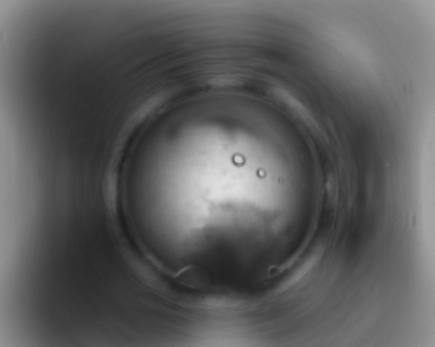 X0000092110725200709262158