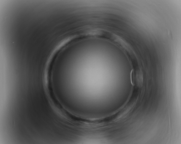 X0000092110726200709262158