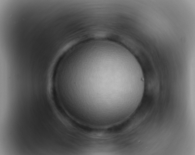 X0000092110728200709262158