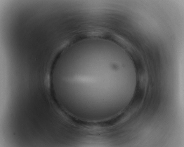 X0000092110729200709262158