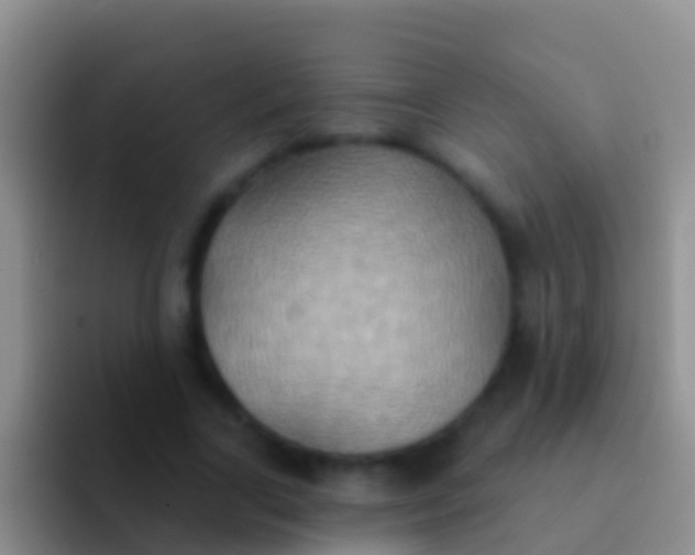 X0000092110731200709262158